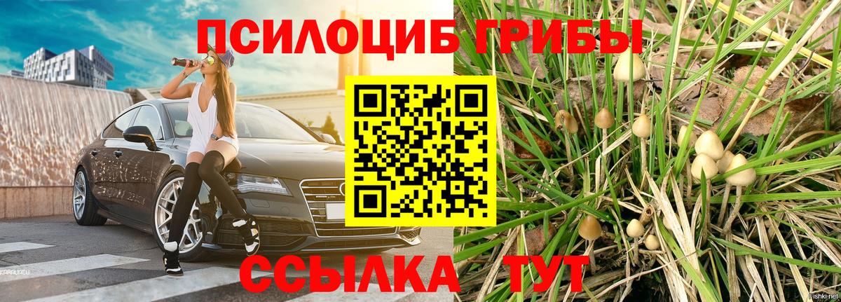 Псилоцибиновые грибы MAGIC MUSHROOMS Георгиевск