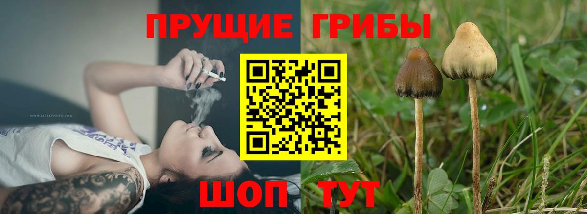 ГАШИШ  Cocaine  MDMA  Меф  Вход с VPN  Георгиевск  Каннабис  МЕФ   A-PVP СК   Лсд 25 